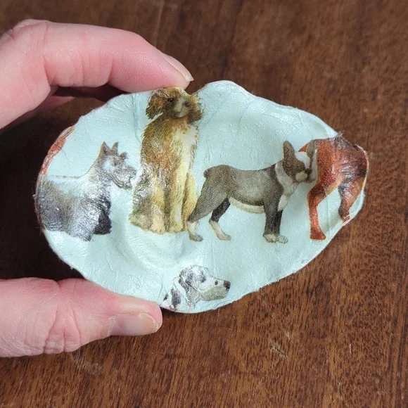 Decorative Shells - Picture 5 of 9